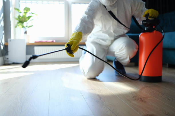 Reliable Odor Removal contractor in Colton, CA by Dulley Family Biohazard Services